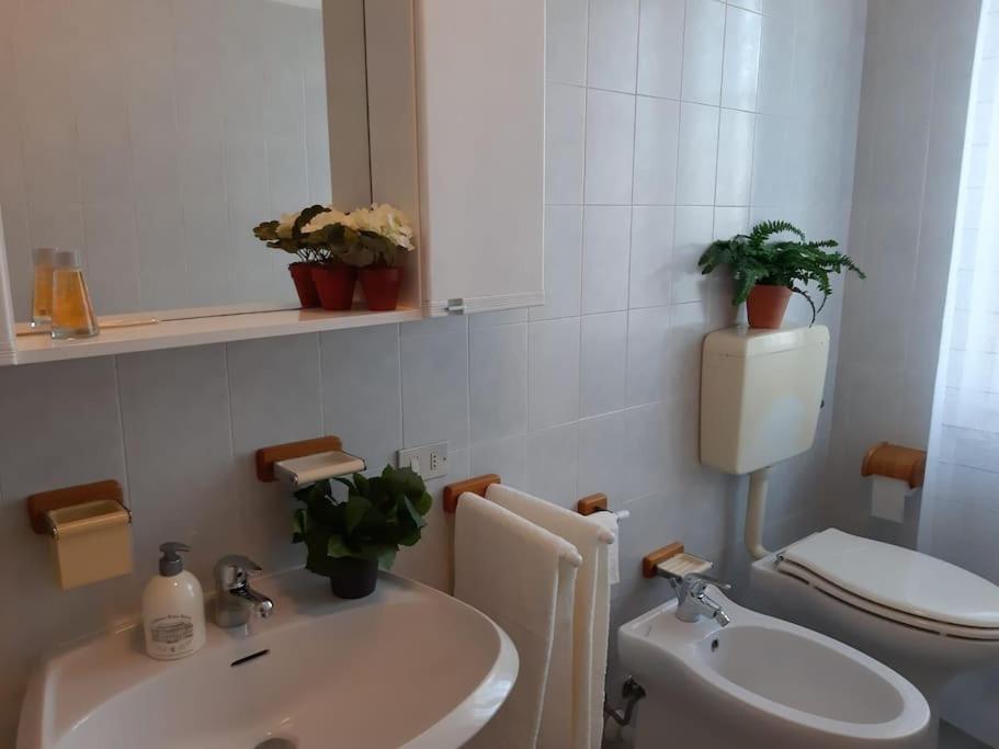 Casa Bruna San Martino Alfieri Zewnętrze zdjęcie